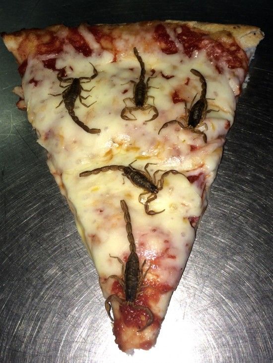 Strange Scorpion Pizzas