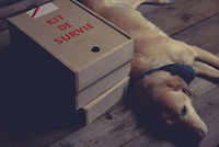 Office Survival Kits Image 5