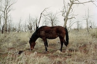 Quiet Landscape Photography Image 4