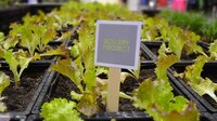 Mobile Metropolitan Microfarms Image 2