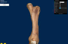 Online 3D Fossil Collections
