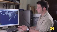 Online 3D Fossil Collections Image 5