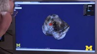Online 3D Fossil Collections Image 6