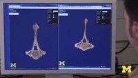 Online 3D Fossil Collections Image 7