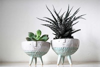 Clay Planter Characters Image 3