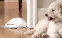 Dog-Friendly Gaming Consoles Image 5