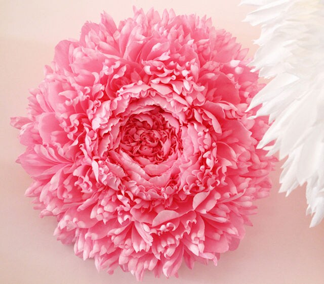 Giant Paper Flowers