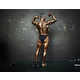 Jacked Bodybuilder Photography Image 4