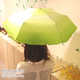 Lettuce-Like Umbrellas Image 7