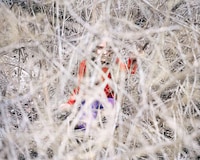 Subtly Quirky Photography Image 2