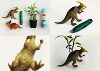 Prehistoric Plant Accessories Image 2