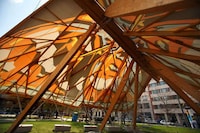 Giant Butterfly Pavilions Image 3
