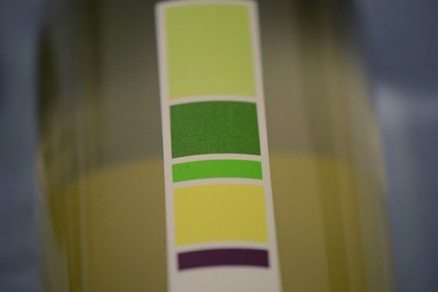 Flavor Focused Wine Labels