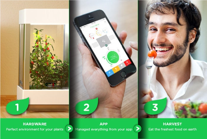 App-Connected Home Gardens (UPDATE)