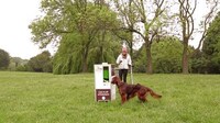 Incentivized Fetch Machines Image 7