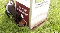 Incentivized Fetch Machines Image 8