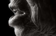 Poignant Centenarian Photography
