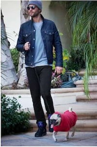 Versatile Tailored Sweatpants Image 5