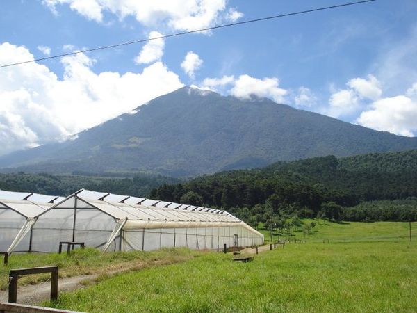 17 Composting Social Innovations