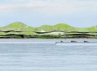 Sustainable Harbour Designs Image 3
