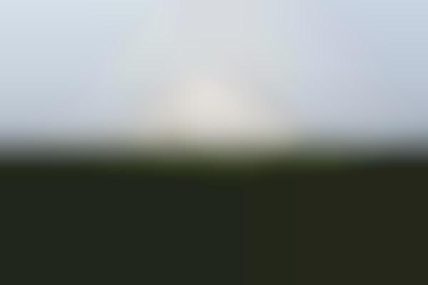 Hedged House Photography