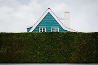 Hedged House Photography Image 2