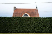 Hedged House Photography Image 3