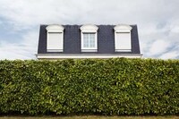 Hedged House Photography Image 4