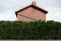 Hedged House Photography Image 5