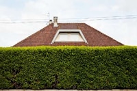 Hedged House Photography Image 7