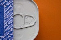 Fish-Like Chocolate Branding Image 2
