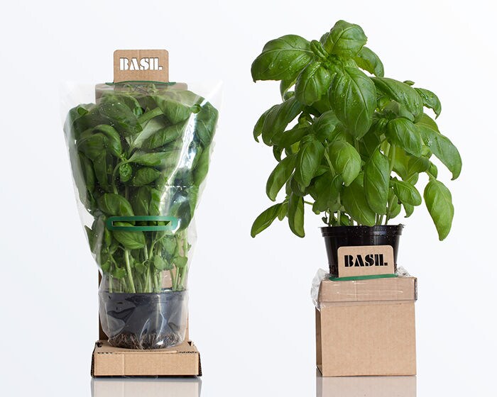 Self-Watering Packaging Designs