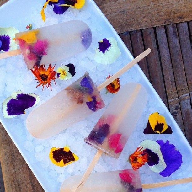Boozy Botanical Popsicles