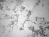 Magnified Tear Droplet Photography Image 2