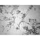 Magnified Tear Droplet Photography Image 2
