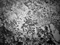 Magnified Tear Droplet Photography Image 3