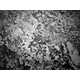Magnified Tear Droplet Photography Image 3