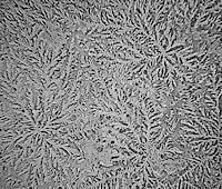 Magnified Tear Droplet Photography Image 5