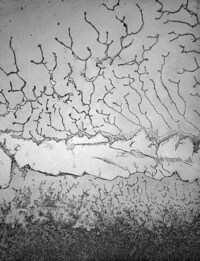 Magnified Tear Droplet Photography Image 6
