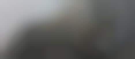 Sustainable Interiors