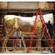 Golden Bull Piñatas Image 3