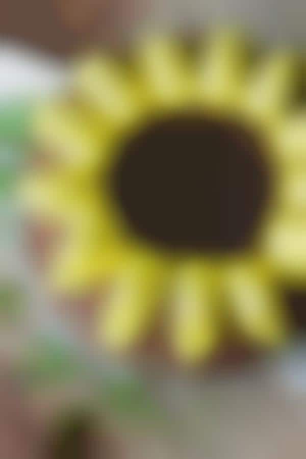 Sunflower-Resembling Cakes