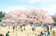 Leisurely Japanese Photography