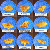 Aquatic Pancake Art Image 5