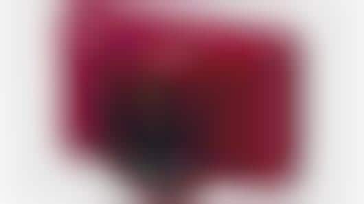 Speedy Autofocus Cameras