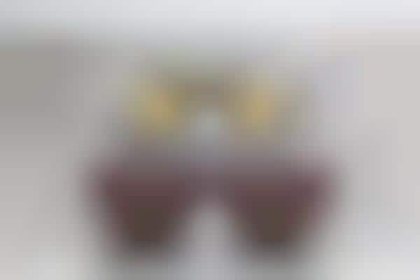 Chic Reversible Shades