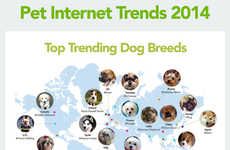 Intriguing Pet Infographics