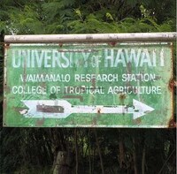 Hawaiian Signage Photography Image 6
