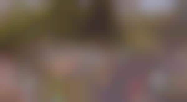Resurgent Language Documentaries