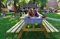 Giant Picnic Lunch Tables Image 6
